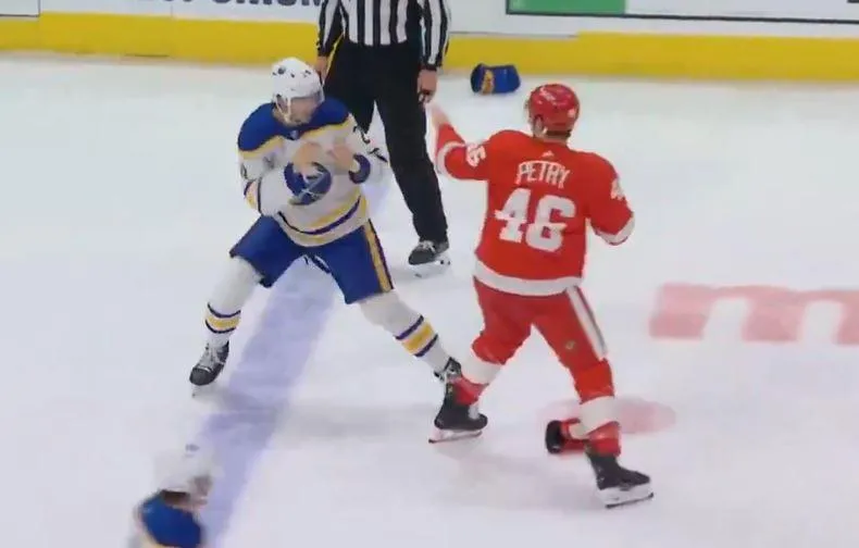 Detroit Red Wings Jeff Petry fighting against Buffalo Sabres' Dylan Cozens in a game.
