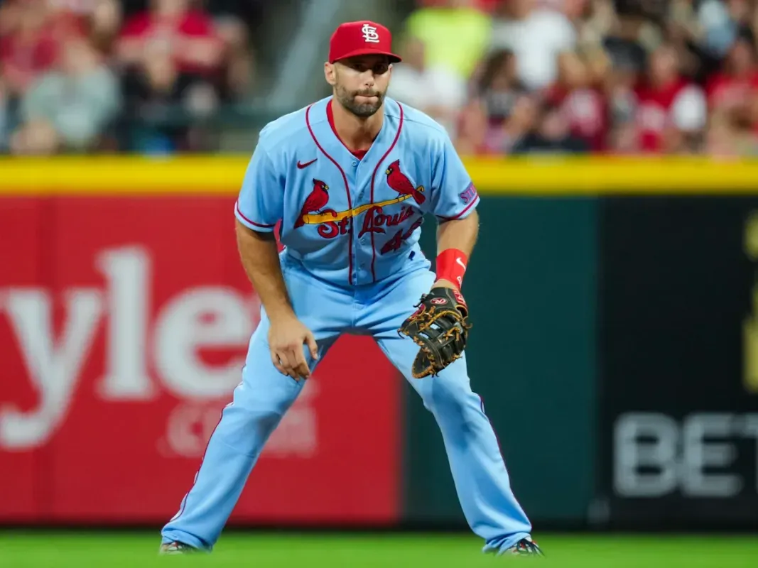The Blue Jays top targets in terms of hitters have been revealed #bluejays #mlb