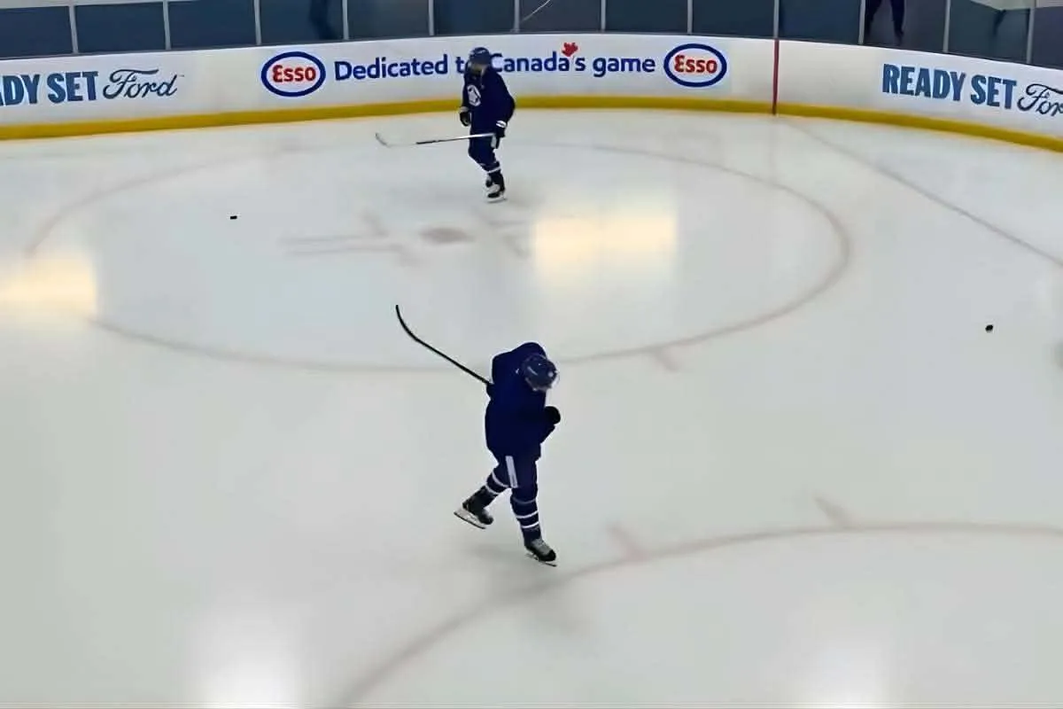 Toronto Maple Leafs forwards William Nylander (top) and Dakota Joshua (bottom)