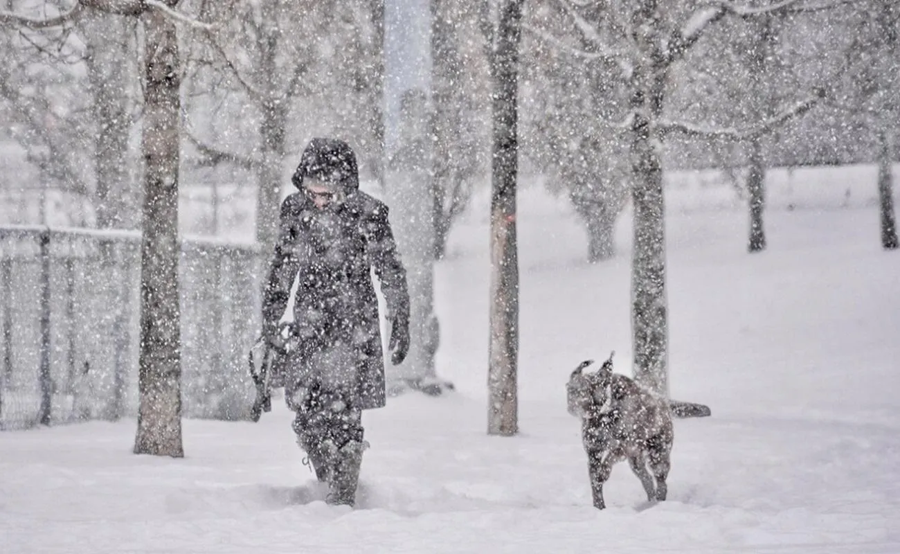 Neige
