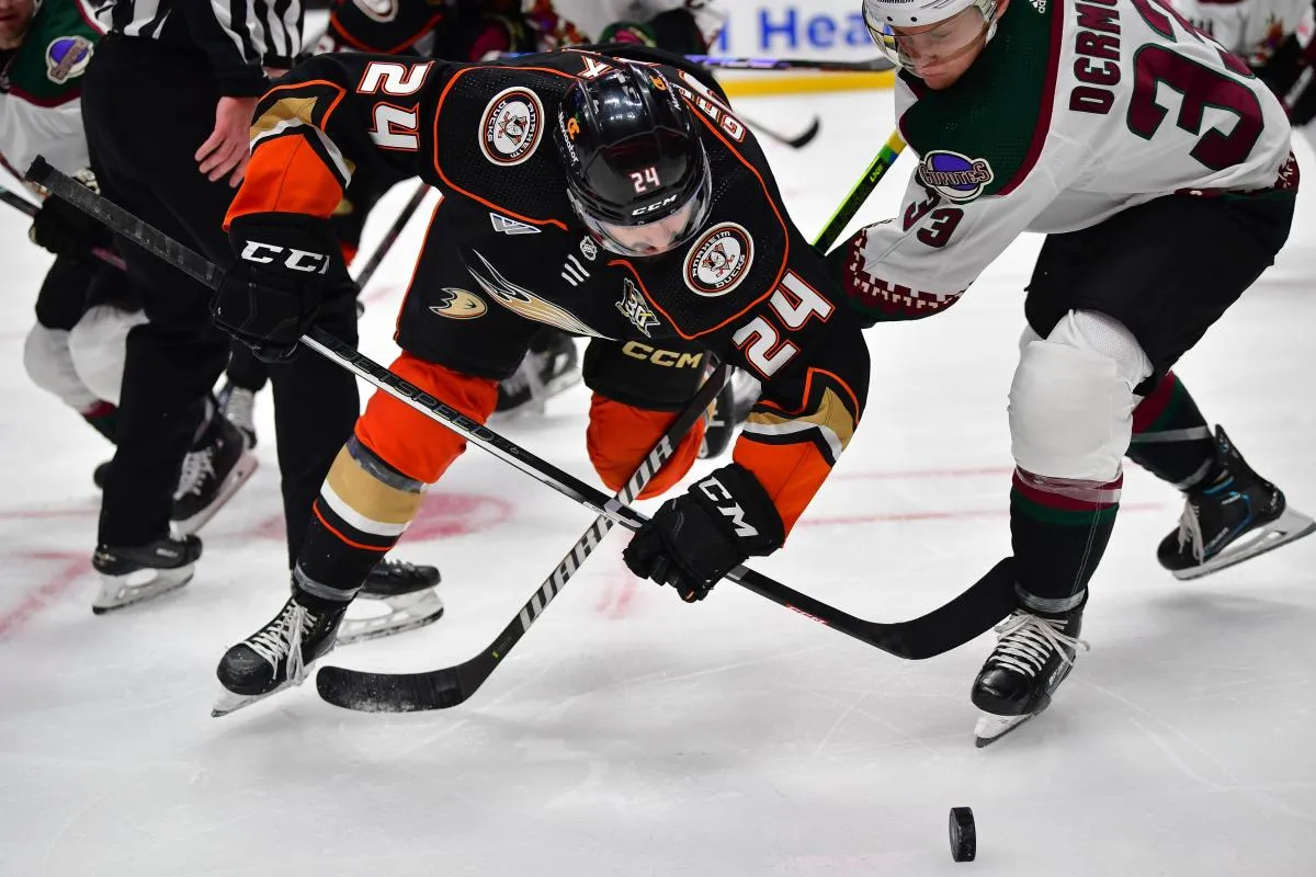 Le centre des Anaheim Ducks, Benoit-Olivier Groulx (24), dispute la rondelle au d&eacute;fenseur des Arizona Coyotes, Travis Dermott (33), lors de la deuxi&egrave;me p&eacute;riode au Honda Center.