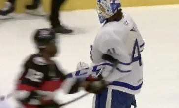Boko Imama spearing Dennis Hildeby during intermission of the AHL game.