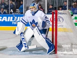 Toronto Marlies goaltender Dennis Hildeby during a game.