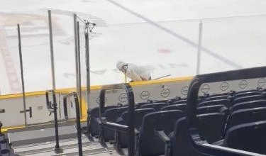 Colin White a quitté l'entrainement en raison d'une collision avec le filet.