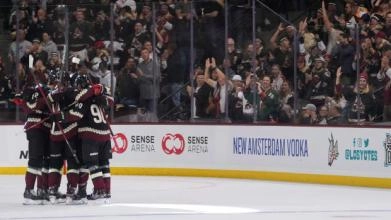 The Arizona Coyotes.