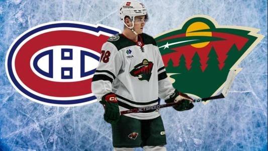 Servac Petrovsky, Wild du Minnesota, Canadiens de Montr&eacute;al