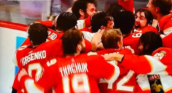 Panthers de la Floride