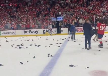 Connor McDavid, s&eacute;ries &eacute;liminatoires, Coupe Stanley