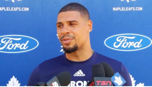 Ryan Reaves of the Toronto Maple Leafs