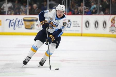 Matt Anderson as a member of the Toledo Walleye