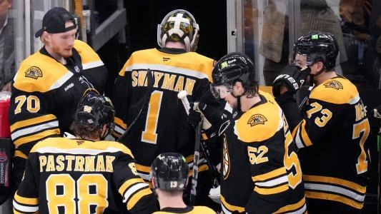 Boston Bruins loss