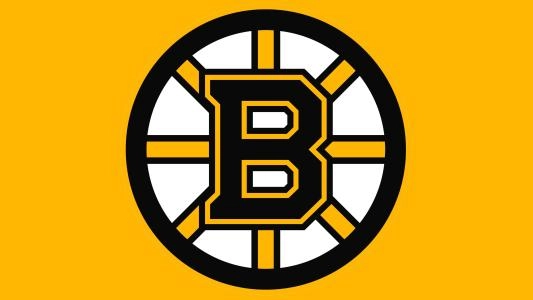 Boston Bruins organization logo