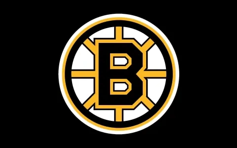 Boston Bruins logo