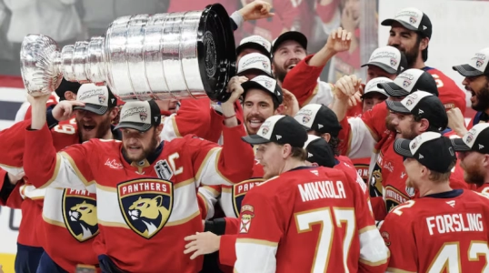 Panthers de la Floride