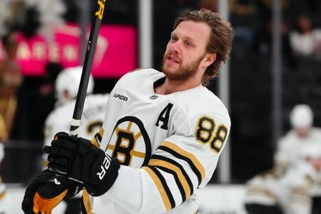 David Pastrnak