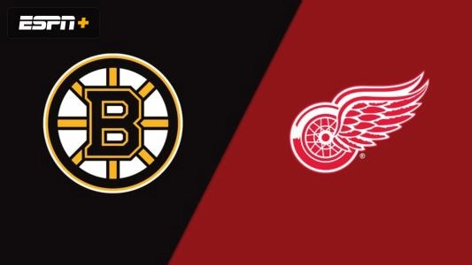 Bruins and Red Wings logo