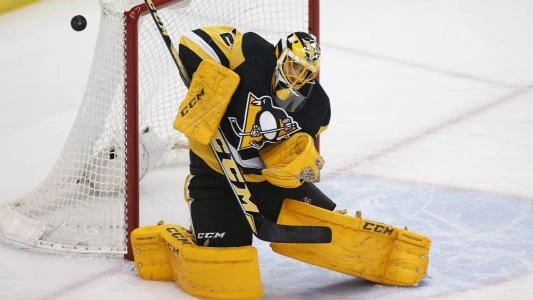 Marc-Andre Fleury makes a save