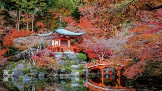 Automne Japon