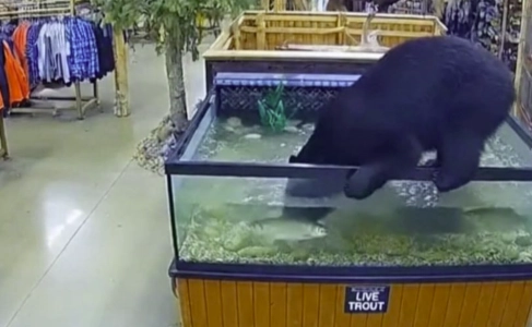 Toute une surprise pour un magasin Bass Pro