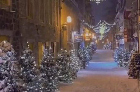 No&euml;l