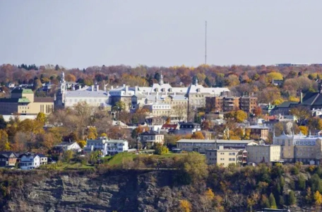 L&eacute;vis