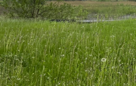 L'achat d'un terrain est une &eacute;tape fort importante