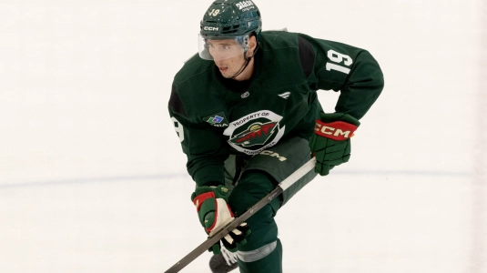 Wild's Tyler Pitlick