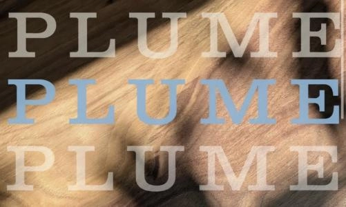 Plume