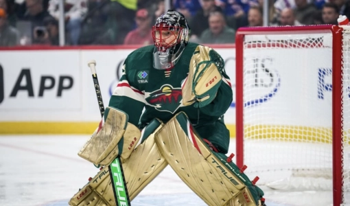 Wild goalie Marc-Andre Fleury