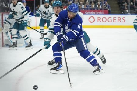 Dec 11, 2025; Toronto, Ontario, CAN; Toronto Maple Leafs forward Max Domi (11) and San Jose Sharks forward Macklin Celebrini (71) battle for a loose puck during the first period at Scotiabank Arena.