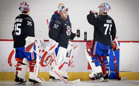 Samuel Montembeault, Jacob Fowler et Jakub Dobes