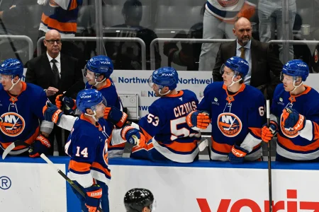 Apr 14, 2026; Elmont, New York, USA; New York Islanders center Bo Horvat (14) celebrates his goal against the Carolina Hurricanes during the second period at UBS Arena.