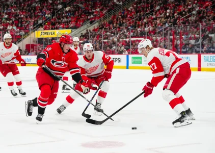 Why Detroit put Dominik Shine on waivers before the Florida finale