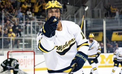 Elliotte Friedman dévoile la vérité concernant la rumeur impliquant Michael Hage et le Canadien