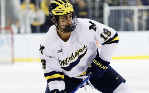 Un journaliste serait prêt à sacrifier Michael Hage et un choix de première ronde pour un joueur bien précis
