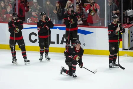 Senators left feeling robbed after controversial no-call helps Hurricanes seal sweep