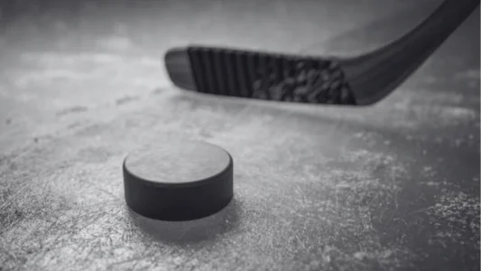Hockey Puck on ice