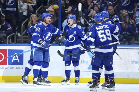 29 mars 2026 ; Tampa, Floride, �tats-Unis ; les d�fenseurs du Lightning de Tampa Bay, Emil Lilleberg (78) et Charle-�douard DAstous (51), r�agissent � un but de lailier gauche Brandon Hagel (38) contre les Predators de Nashville en troisi�me p�riode � la Benchmark International Arena.