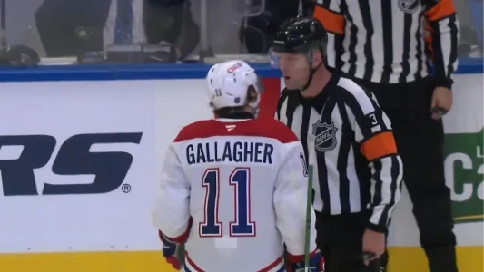 Brendan Gallagher and a referee mad
