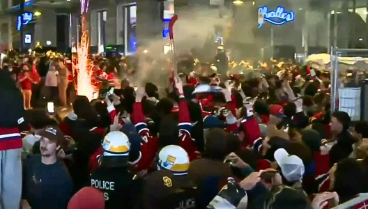 Montreal goes wild