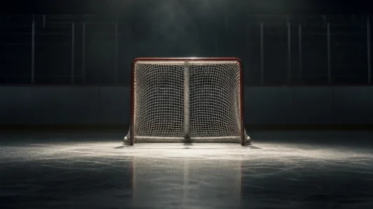 Empty hockey net