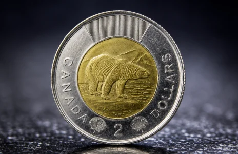 Cette pi&egrave;ce de 2 $ que vous avez peut-&ecirc;tre chez vous pourrait valoir une petite fortune