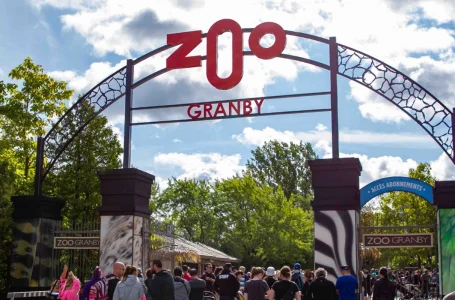Le Zoo de Granby pr&eacute;pare un &eacute;t&eacute; magique pour les familles
