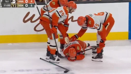 Ryan Poehling injury Brayden mcNabb interference