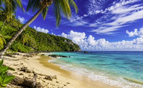 Survivor frapp&eacute; par un grave incident en plein tournage