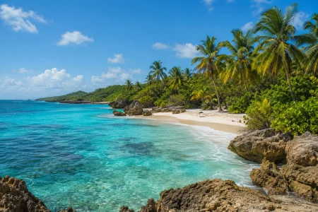 Les tournages de Survivor suspendus apr&egrave;s un grave accident