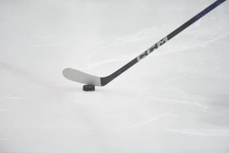 Hockey fans have mixed feelings after an expansion team is announced for California by the PWHL