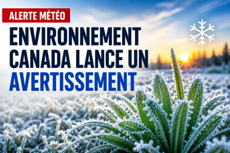 Plusieurs r&eacute;gions sous surveillance cette nuit