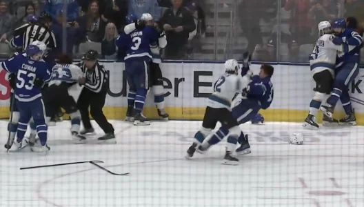 Marlies and Monsters brawl boils over as Maple Leafs watch from home