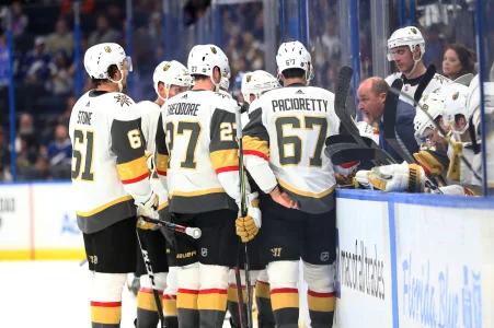 Feb 4, 2020; Tampa, Florida, USA; Vegas Golden Knights head coach Gerard Gallant talks with teammates during the third period against the Tampa Bay Lightning at Amalie Arena.